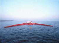 pelamis