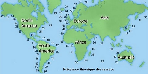 pelamis