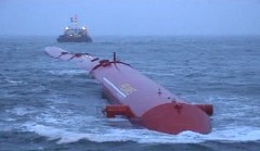 pelamis