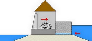pelamis